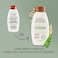 Aveeno Strength &amp; Length Plant Protein Blend Shampoo, Vegan Formula For Strong Healthy-Looking Hair, 354ml