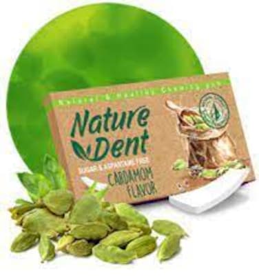 Nature Dent Cardamom 12.5Gm