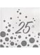 Creative Converting 16-Count Paper Lunch Napkins, 25th Anniversary, Sparkle and Shine Silver