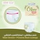 BabyJoy Olive Pants, Size 5 Junior, Mega Pack, 12-18kg, 40 Count