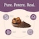 Real Mushrooms Chaga Capsules - Organic Mushroom Supplement With Chaga Extract - Chaga Mushroom Powder For Digestion, Energy, &amp; Immune Support - Vegan Mushroom Extract, Non-GMO, 120 Caps