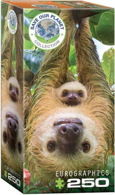 أحجية يوروغرافيكس 250 كسلان