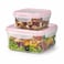 BLACKSTONE Square Plastic Food Storage Container Set for Leftovers, Meal Prep and Snacks, 600ml and 1.2L, BPA-Free, 2 Pieces