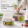 BLACKSTONE Rectangular Plastic Fridge Storage Container Set of 2 for Fruits and Vegetables with Removable Strainer Trays, 3.2L and 4.7L