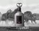 عطر زيمايا ستاليون أو دي بارفان للرجال، 100 مل