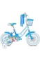 Spartan Disney Frozen Bicycle 16-Inch