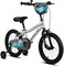Spartan Thunder Kids Bicycle With Training Wheels &ndash; Steel Frame, Adjustable Seat &amp; Handlebar, Rear Mudguard &ndash; First Bike for Boys &amp; Girls &ndash; Sleek Gray With Bold Graphics