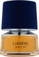 French Avenue Lumiere Garcon-Amber Woody Eau De Parfum For Men, 100ml - Black Pepper Dates Sandalwood