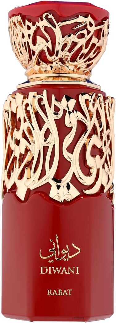 French Avenue Diwani Rabat, Fresh Aromatic Fougere Eau De Parfum For Men, 100ml - With Grapefruit Peach Vetiver Notes