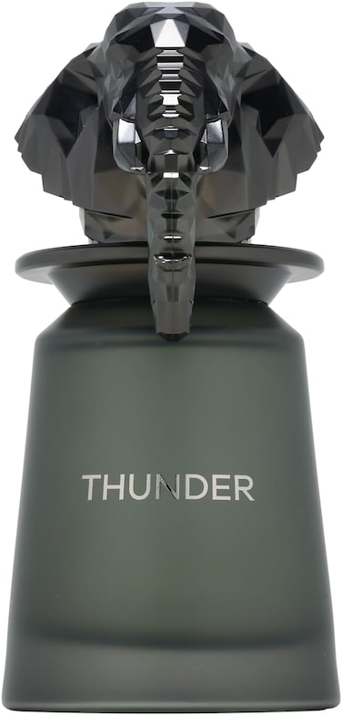 عطر ثندر او دي بارفان للرجال من فرينش افينيو 100 مل