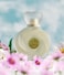 Ahmed Al Maghribi Musk &amp; Roses 75ml, Eau De Parfum Women, Long lasting, Roses, Musk, Perfume For Women, Floral, Rasberry, Perfumes