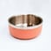 Saluki Stainless Steel Double Wall Dog Bowls - Peach, 700 ML