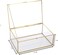 LAMSIT IBDAA Glass Keepsake Box - Rectangle Jewelry Display Organizer Box - Vanity Lidded Box Home Decor Accent - Decorative Box for Storage Trinket Rings Bracelet (Gold, Small (15x10x7 cm))