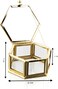 Small Glass Jewelry Trinket Box Ornate Rings &ndash; Hexagon Gold Ring Storage Display Box - Decorative Earrings Organizer &ndash; Keepsake Case with Lid for Proposal Engagement Wedding (Gold, Hexagon)