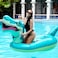 AIRMYFUN GIANT FLOAT TYRANNOSAURUS , 264x100x92CM ,14+ Years