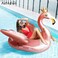 AIRMYFUN GIANT FLOAT FLAMINGO , 177x167x138CM ,14+ Years
