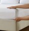 Panax Cotton Bed Sheet King, White