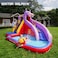 Doctor Dolphin Inflatable Water Slide with Blower,Long Water Slides for Kids Backyard with Climbing Wall,Kids Bounce House with Slide,Hippo Theme Water Park with Plash Pool for Outdoor