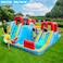 Doctor Dolphin Inflatable Bounce House with Water Slide, Water Blower and Air Blower 73033