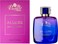 Perfect Cosmetics Allure Eau De Toilette for Women 100ml &acirc;&euro;&ldquo; Long Lasting Floral Woody Perfume with Bergamot, Jasmine, Vanilla &amp; Musk &acirc;&euro;&ldquo; Elegant Ladies Fragrance