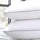 Silentnight Luxury Micro Fibre Pillow w/ Silver Piping - Down Proof (800GSM)