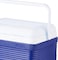 Cosmoplast Ice Box Deluxe 18L Blue