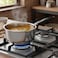 Raj Stainless Steel Milkpan - 16 cm Heavy-Duty Induction Compatible Milk Pan without Lid, GSSSP7