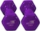 Vinyl Dumbbells Set EM-9219-1 Non-Slip 1KG x2 Hex Shape Weights for Home Gym &amp; Fitness