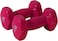 Vinyl Dumbbells EM-9219R-2 Set of 2 Pink Non-Slip 2KG Weights for Home Gym &amp; Workouts