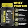 Balsa Nutrition Whey protein Powder Double Rich Chocolate 907g