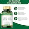 Folfar Iron + Folic Acid, Boosts Energy and Supports Immune System - 120 Capsules