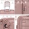 Senator Travel Bag Suitcase A1012 Hard Casing Extra Large Check-In Luggage Trolley 81cm Rose Gold