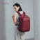 Chantria Premium Lightweight Laptop backpack for Women Water Resistant Multifunctional Anti-Theft Daypack with 180&deg; Opening and Built in USB Port CB00641 Burgundy