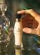 Feah Arabia Al Hamra Eau De Toilette EDT 100ml Long Lasting Perfume