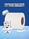 Packwell 2Ply Toilet Roll 400 Sheet Pack Of 10 Pcs Rolls Softness Bathroom Tissue Roll Toilet Paper Toilet Tissue Premium Silky Feel Softness Bathroom Tissue Roll, Sterilized For Germ Protection