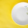 Delcasa DC2820 Opalware Dinner Plate, 10.5-Inch Size, White