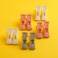 Delcasa DC3068 Plastic Clothes Clip 10-Pieces Set, Multicolor