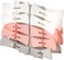 Delcasa DC3068 Plastic Clothes Clip 10-Pieces Set, Multicolor