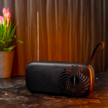 Olsenmark Wireless Speaker with Fan- OMMS1204/ FM Radio, MP3, USB and TF Function, Compact and Portable Design/ USB and Solar Charging, Perfect for Home, Party, Camping, etc./ Black, 2 Years