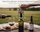 Wing Corkscrew Wine &amp; Beer Opener &ndash; 2-in-1 Stainless Steel Corkscrew with Ergonomic Wings for Smooth Wine &amp; Beer Opening