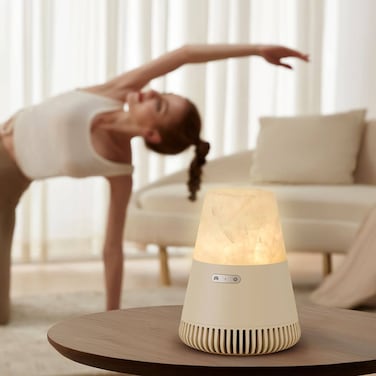 EZVALO 3in1 Natural Stone Aroma Bluetooth Speaker with Night Light
