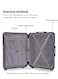 TOM CRUISER Premier Smart Scale Hard Trolley 20 Inch Silver - Advanced &amp; Durable Travel Luggage