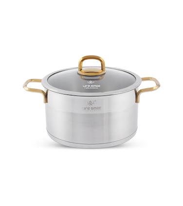LIFE SMILE Cooking Pot with Lid 18/10 Pure Stainless Steel - Thick Induction Base Double Handle Stock Pot - Non-Toxic, 100% PFOA, PTFE &amp; PFOS Free - Oven Safe Casserole (Gold, 24 CM (5.7 Liters))