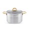LIFE SMILE Cooking Pot with Lid 18/10 Pure Stainless Steel - Thick Induction Base Double Handle Stock Pot - Non-Toxic, 100% PFOA, PTFE &amp; PFOS Free - Oven Safe Casserole (Gold, 28 CM (9.7 Liters))