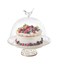 Cake Stand Acrylic Round Cake Plate with Lid, Cake Holder with Clear Plastic Cover
