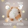 Yokosun Premium Baby Diapers, Size 3 / M (5-10 Kg) 62 Pieces, 1 Pack