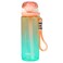 Flaneur Leak-Proof 750ml Orange Water Bottle with Straw, Handle, and Secure Lock