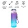 Flaneur Leak-Proof 750ml Pink Water Bottle with Straw, Handle, and Secure Lock