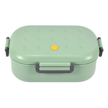 Flaneur Spacious 1000ml Mint Green Lunch Box with Easy-Open Latch 20.2*14*7.4