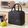 Flaneur Black Insulated Lunch Bag with Handles and Front Pocket - Large Capacity